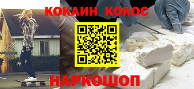 стаф Дубна
