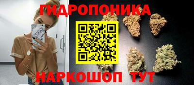гашиш Гусев